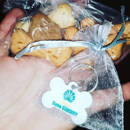 Alecer Vendégház *