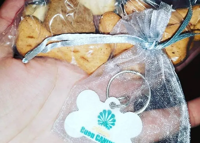 Alecer בית הארחה *