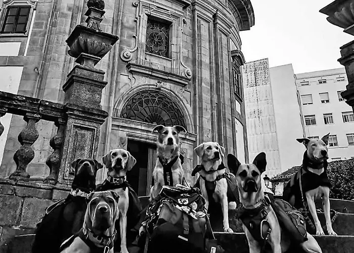 Alecer בית הארחה *