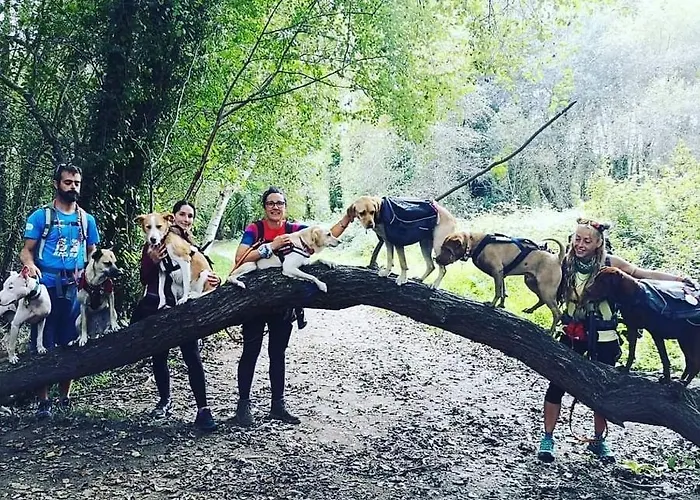 בית הארחה Alecer